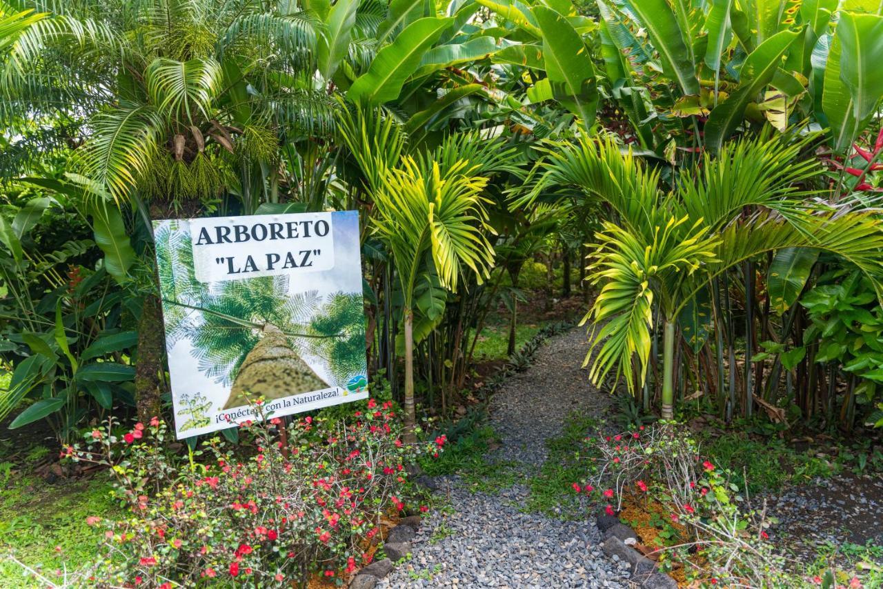 Hotel Vista Del Cerro La Fortuna Exteriör bild